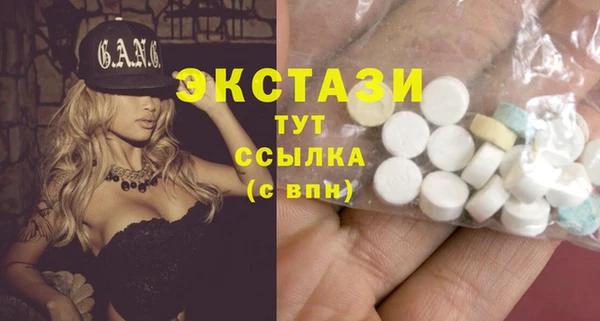индика Заволжье