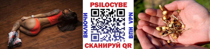 Псилоцибиновые грибы MAGIC MUSHROOMS  мега ONION  Реж  где купить  