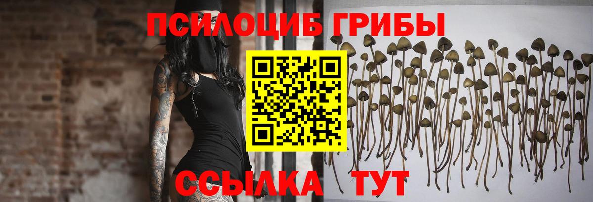 Псилоцибиновые грибы прущие грибы  Вход с VPN  Реж 